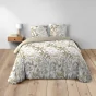 Parure de lit 3 pièces – 240 x 220 cm – 100% coton – 42 fils Voltine Miel