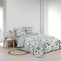 Pack Parure de couette VOLTINE 240 x 220 cm – Coton 42 fils – + Drap Housse 140x190 cm Sauge