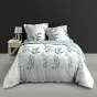 Parure de lit 260 x 240 cm + 2 taies – Percale 78 fils – WENDY – Imprimé feuillage 
