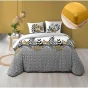Pack housse de couette 220 x 240 cm Catalia + drap housse 140 x 190 Jaune
