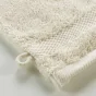 2 gants de toilette 15 x 21 cm eponge unie elegance Sable