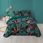 Pack parure de couette 220 x 240 cm Meryl + drap housse (140) Emeraude