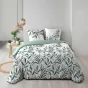 Housse de couette 240 x 220 cm coton 57 fils + 2 taies Eldorado