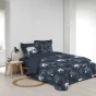 Housse de couette 240 x 220 cm + 2 taies 100% coton Zambi