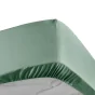 Lot de 2 Drap housse percale de coton 78fils ultra doux 160 x 200 cm Tilleul