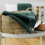 Lot de 2 gants 15 x 21 cm éponge unie garance emeraude Vert foncé