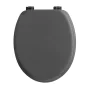Abatt. wc charnieres plastique 18 pouces mdf uni vitamine sdb Anthracite