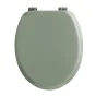 Abatt. wc charnieres plastique 18 pouces mdf uni vitamine sdb Sauge
