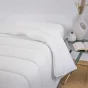 Couette en coton anti acariens 260 x 240 cm Celeste Blanc 350gr/m2