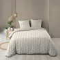 Housse de couette 260 x 240 cm coton 42 fils + 2 taies Brianna