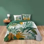 Housse de couette 240 x 220 cm coton 42 fils + 2 taies Florida