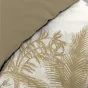 Housse de couette 240 x 220 cm coton 42 fils + 2 taies Cocoty