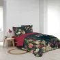 Pack parure couette 260 x 240 cm 100% coton Fauvette + drap housse 160 x 200 cm Pétrole