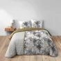 Housse de couette 260 x 240 cm coton 42 fils + 2 taies Dakar