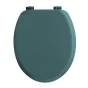 Abatt. wc charnieres plastique 18 pouces mdf uni vitamine sdb Bleu/emeraude