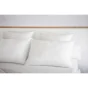 Oreiller coton anti acariens 50 x 70 cm Sirius Blanc