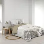 Bastille - Housse de couette 240 x 220 cm + Drap housse blanc 140x190 cm -