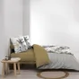 Housse de couette 260 x 240 cm coton 42 fils + 2 taies Dakar