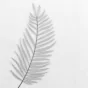 Voilage sablé  140 x 240 cm brodé metallisé Palmeor Argent