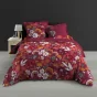 Housse de couette 240 x 220 cm percale de coton 78 fils imprimé  Arbusa