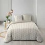 Housse de couette 260 x 240 cm coton 42 fils + 2 taies Brianna