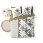 Pack Housse de Couette Dakar 260 x 240 cm + Drap Housse 160X200 cm Beige