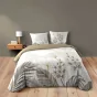 Housse de couette 260 x 240 cm coton 42 fils + 2 taies Bastille