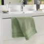 Serviette de toilette 50 x 90 cm eponge unie tendresse Fougere