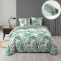 Pack housse de couette 240 X 220 cm microfibre Louna + dh 140 x 190 Sauge