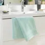 Serviette de toilette 50 x 90 cm eponge unie tendresse Celadon